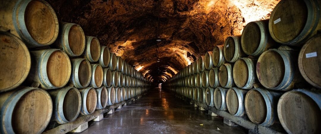 Route des vins Navarre DO : de Pamplona aux bodegas de la Ribera