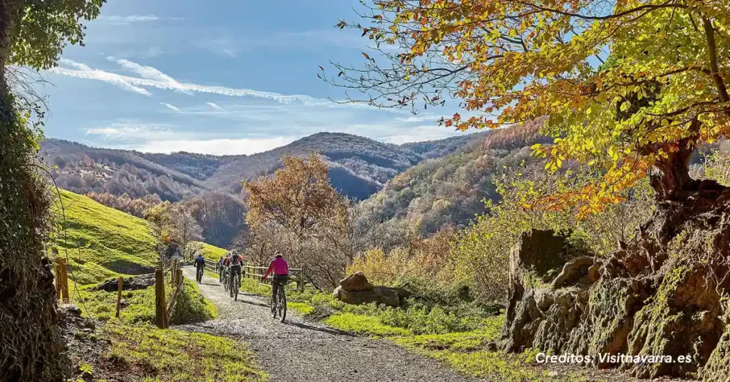 chemin avec vélos en Navarre