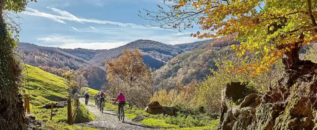 Via Verte de Navarre : cyclotourisme au cœur des Pyrénées